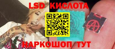 spice Кимры