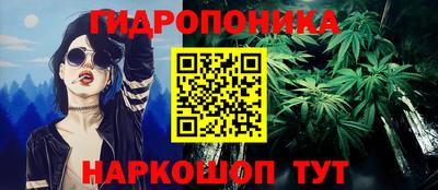 прущие крисы Кингисепп
