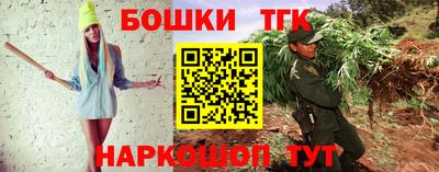 прущие крисы Кингисепп