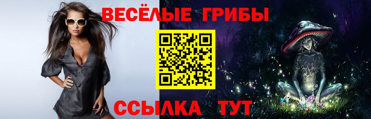 Псилоцибиновые грибы Cubensis  Псилоцибиновые грибы Magic Shrooms  Куйбышев  Вход с VPN 